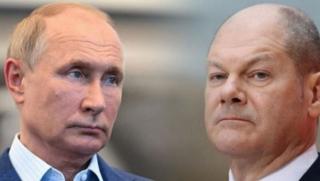 Bild, Шолц, разговори, Путин, януари