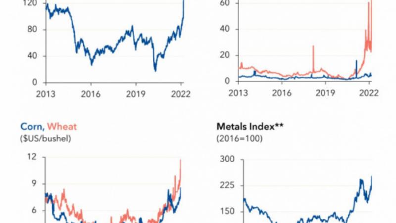 The economic consequences of the crisis in Ukraine
 – 2024-04-09 23:23:49