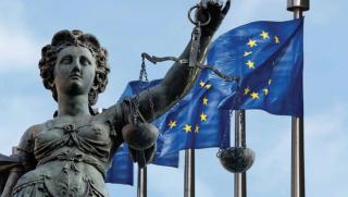 Европейски съд, права на човека, ЕСПЧ, укротяване