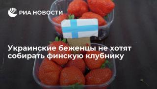 Украински бежанци, финландски ягоди
