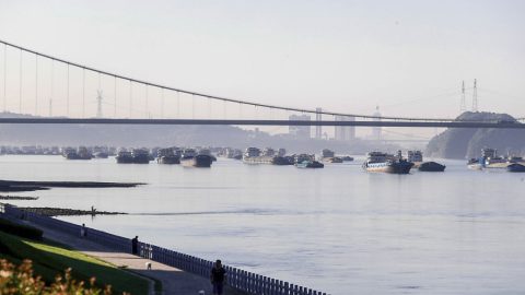 1 млн. хектара са залесени до момента в басейна на река Яндзъ