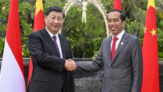 Китай, Индонезия, модел, сътрудничество, развиващи се държави