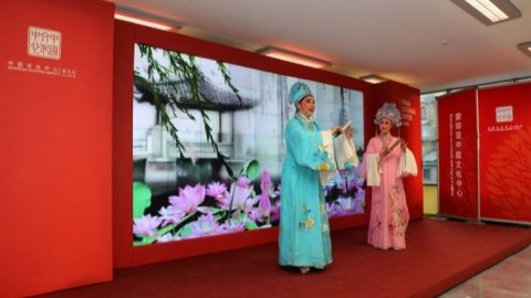 Пет години китайска култура и изкуство в България