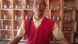 Тибетска медицина, развива активно