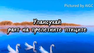 Улансухай, рай, прелетните птиците