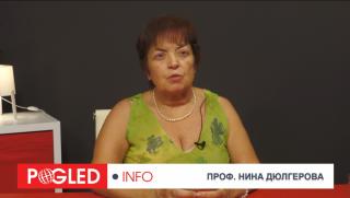 Нина Дюлгерова, преговорен процес, интеграция, евразийско пространство
