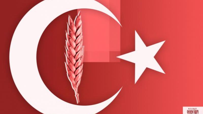 Should Russia Help Turkey Save Grain Deal?
 – 2024-08-04 19:02:25