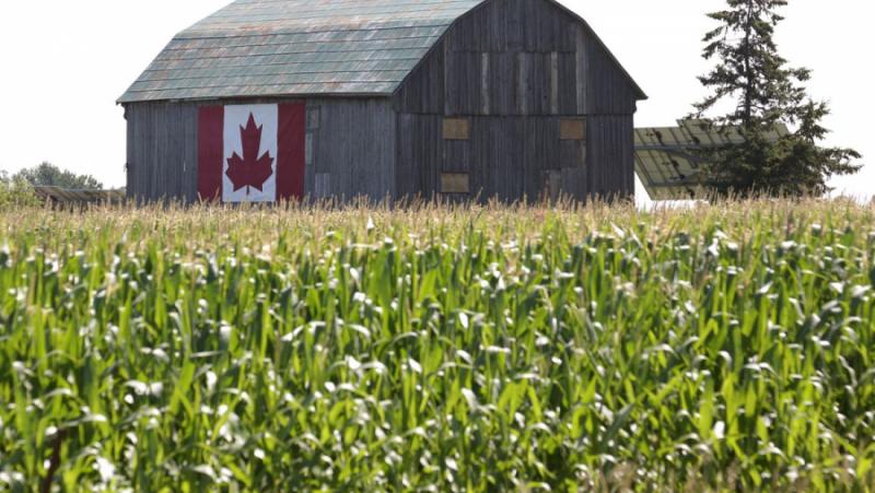 Canada’s Farm Destruction, Heavy Carbon Taxes and Green Terror
 – 2024-08-03 12:14:42