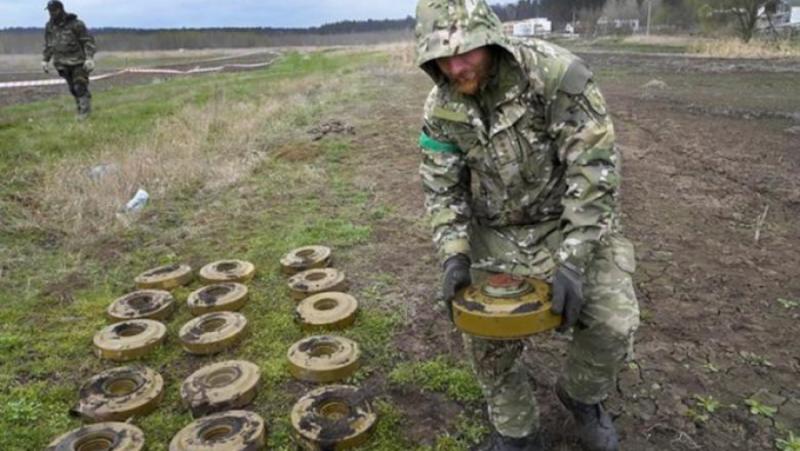 Bild: 200 Zelensky fighters broke via the “dragon’s tooth”
 – 2024-07-09 17:23:54