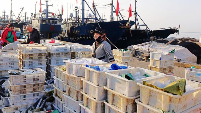 China publishes white paper on ocean fisheries growth
 – 2024-05-17 00:07:22