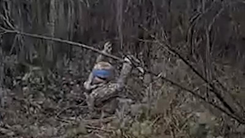 “Just don’t hit me, I’m pregnant!” The Russian military caught a soldier from the Armed Forces of Ukraine by surprise /video/