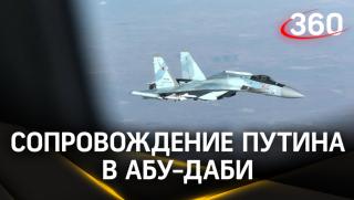 Су-35, самолет, Путин, прикрие, президента