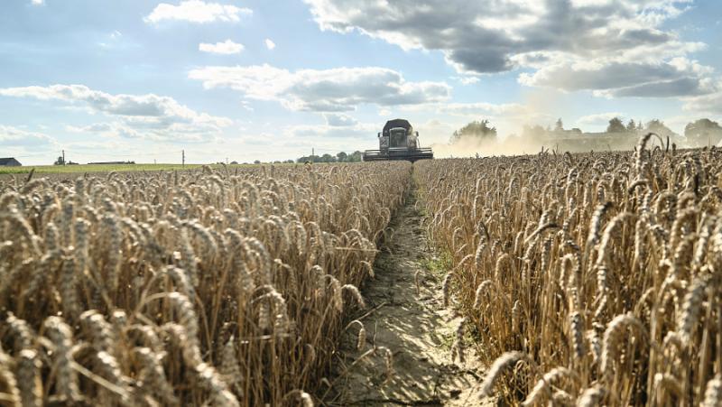 Istvan Nagy: Five Eastern European countries want the EU to restore import duties on agricultural products from Ukraine
 – 2024-02-20 15:30:51