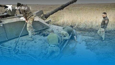 Мишки изядоха танковете на НАТО: Русия отново е виновна