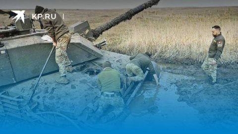 Мишки изядоха танковете на НАТО: Русия отново е виновна