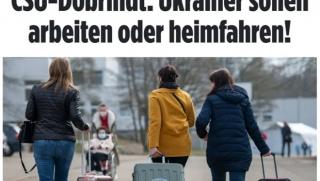 Германия, украинските бежанци, да работят, да се върнат у дома