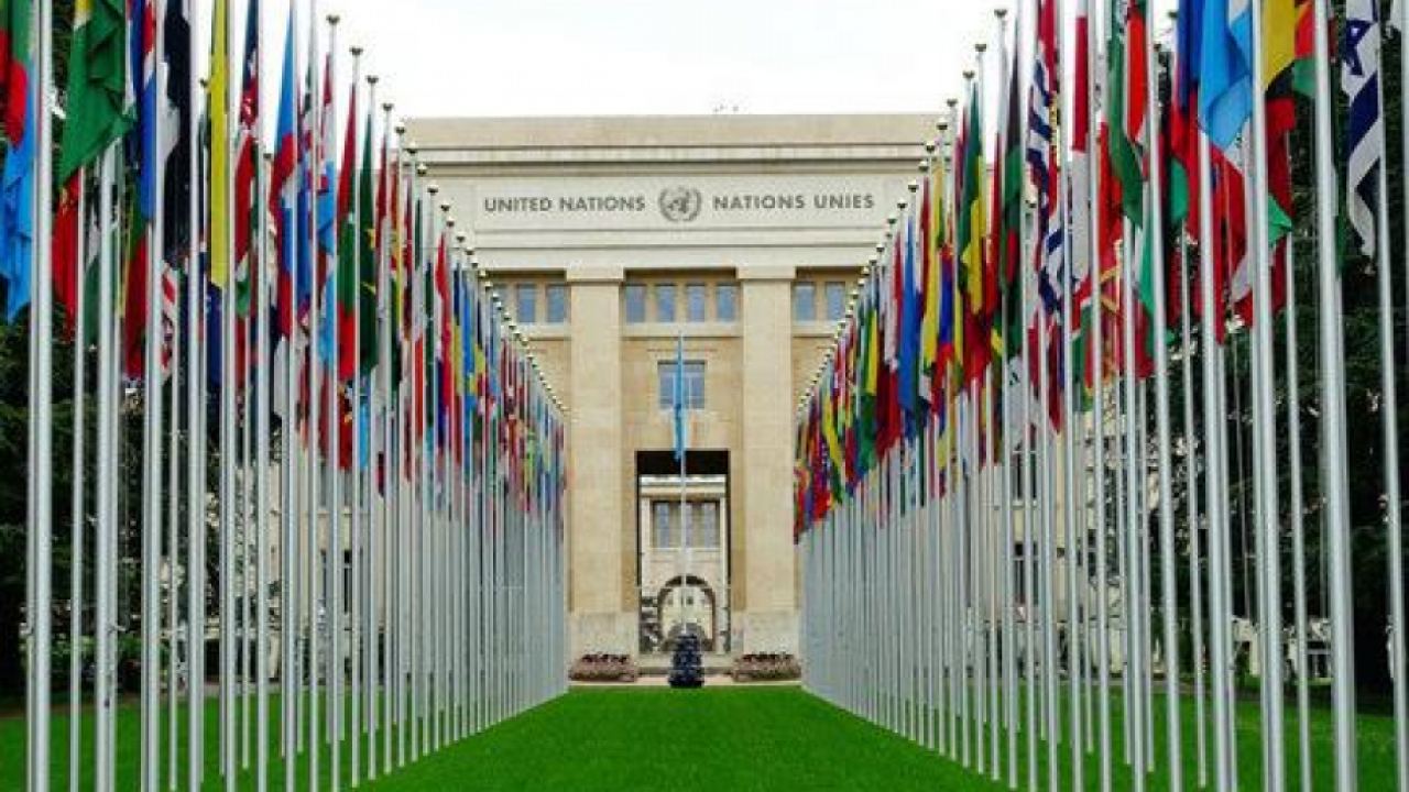Над 100 държави подкрепиха проекта за отбелязване на 30-годишнината на „Декларацията в Пекин“ и „Платформата за действие“