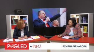 Румяна Ченалова, политици, хаос от хора, парламент, власт, пари, далавери, схеми