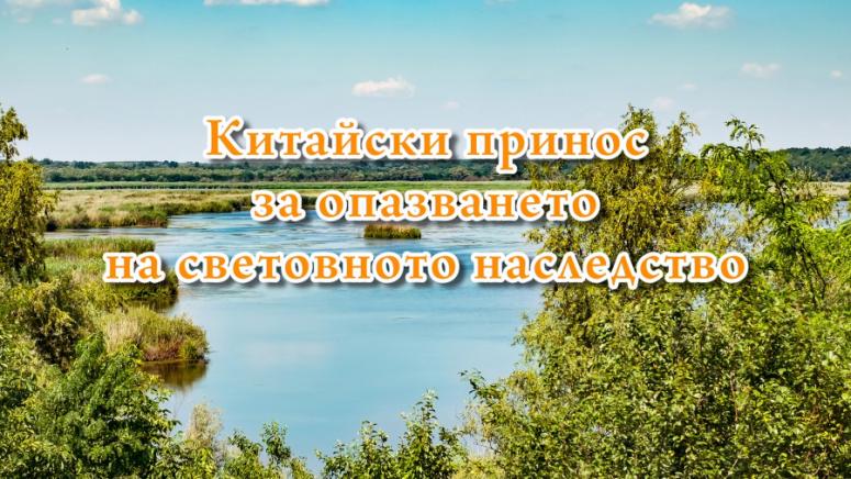 Китайски принос, опазването, световното наследство