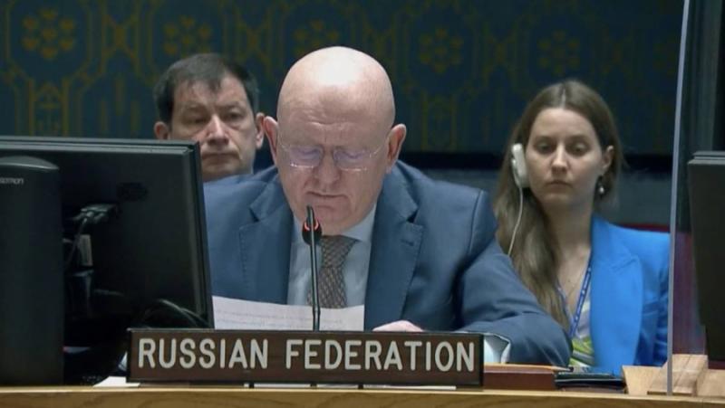 Nebenzia: Germany and Japan Will Never Get UN Security Council Seats