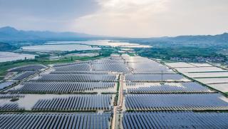 Световен фотоволтаичен капацитет, нарасне, 30% през 2025 г.