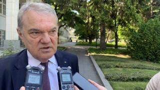 Румен Петков, Плевен, Европейски съд , политически действия