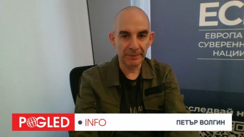 Петър Волгин: ЕС е създаден от Америка за интересите на Америка