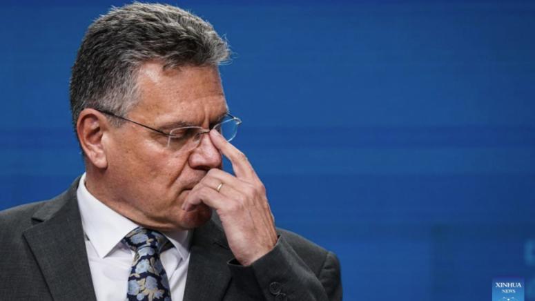 Евросъюз, приветства, решение, Китай, редкоземни елементи