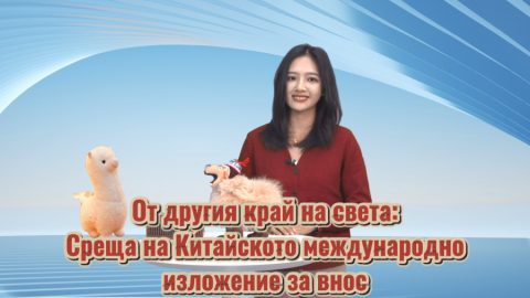От другия край на света: Среща на Китайското международно изложение за внос
