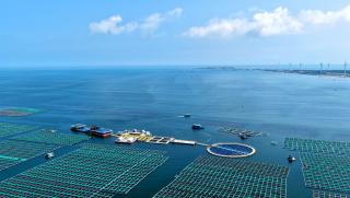 БВП, морското стопанство, Китай, първите три тримесечия, увеличил, 5,6% на годишна база