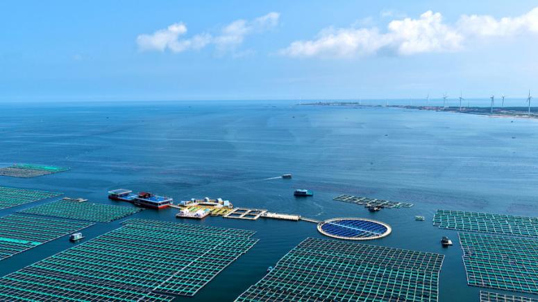 БВП, морското стопанство, Китай, първите три тримесечия, увеличил, 5,6% на годишна база