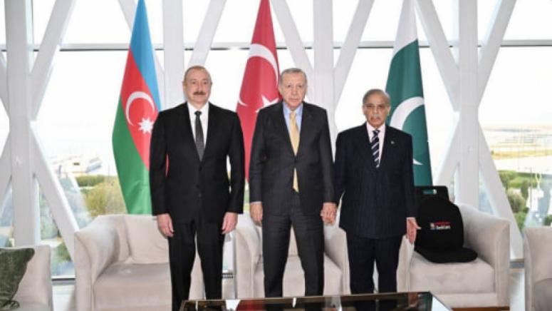 Снимка, Ердоган, разтревожи, Подоляка