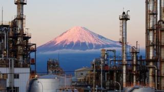 Японци, не колят, кокошките,  снасящи, златни яйца