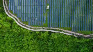 Китай, бяла книга, пик, въглеродни емисии, въглеродна неутралност