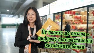 От полето, до пазара, цифрово пътешествие, китайски билки