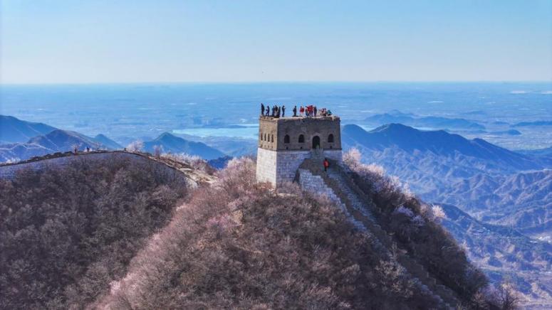 Голямо оръдие, династия Мин, Великата китайска стена