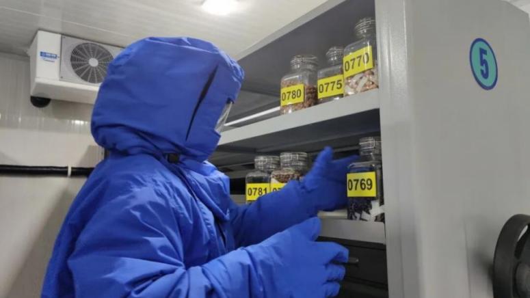 Шанхайската банка за семена, 100 млн. проби, биологично разнообразие