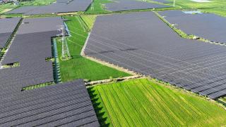 Даниел Йергин, Китай, доминира, глобалния зелен преход