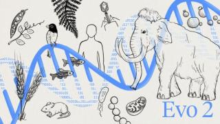 САЩ, биосигурност, изкуствен интелект, биотероризъм, двойна употреба, CSIS, биолаборатории, патогени, национална сигурност