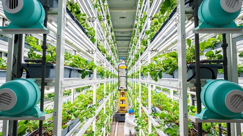 Интелигентно земеделие, Китай