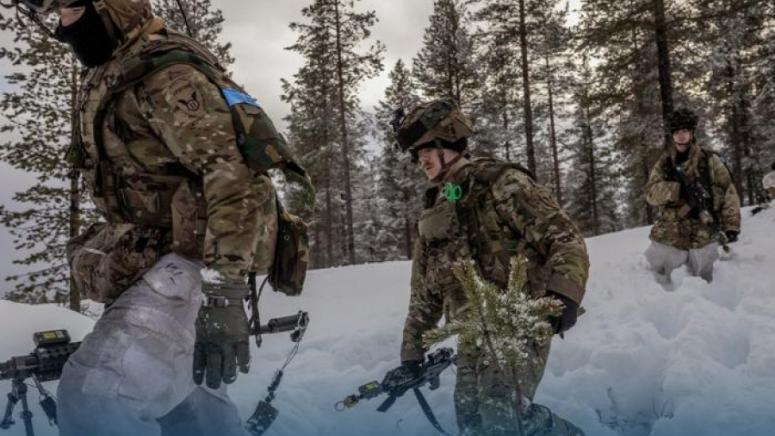 Финландия, Арктика, Баренцов съвет, НАТО, арктическа стратегия, геополитика, северни региони, трансгранично сътрудничество, САЩ