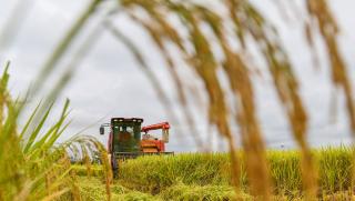 Работна среща , ЦК на ККП, развитието на селските региони