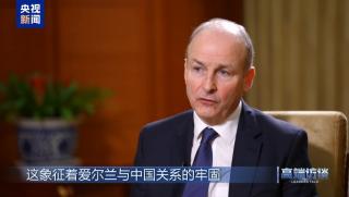 Михол Мартин, Ирландия