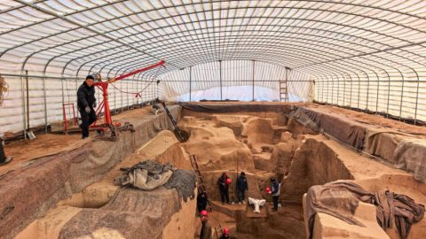 Древна царска гробница разкрива първата дива зоологическа колекция в Китай