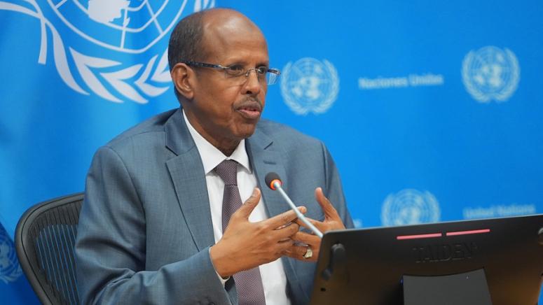 Махмуд Али Юсуф, Африканска лига, международно право