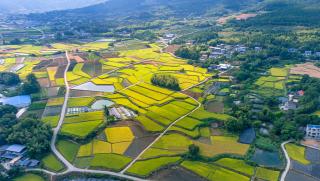 Разходка, хутуна Ланман