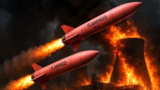 НАТО, Фламинго, Х-22, Украйна, бункер, Товар 200, Кривой Рог, Запорожие