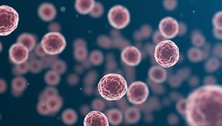 Учени, Китай, САЩ, борба с рака, белите дробове