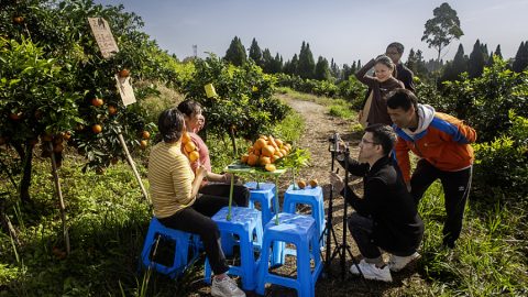 Онлайн продажбите в селските райони на Китай достигнаха 3 трилиона юана през 2025 г.