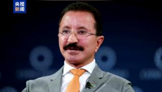 Главен изпълнителен директор, Dubai Ports World, оставка, Епстийн